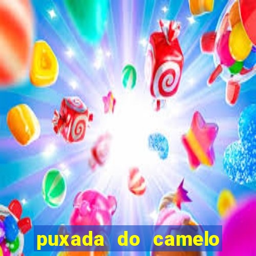 puxada do camelo no jogo do bicho